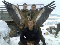 просто - ОРЕЛ ! просто - ОРЕЛ !