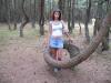 Танцующий лес Танцующий лес