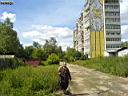 В центральной части города В центральной части города